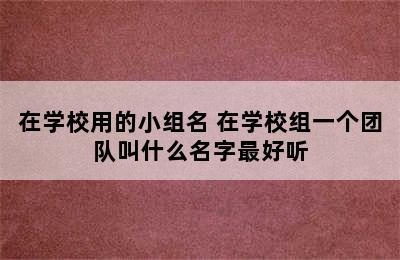 在学校用的小组名 在学校组一个团队叫什么名字最好听